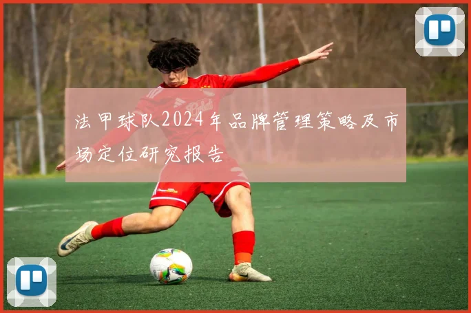 法甲球队2024年品牌管理策略及市场定位研究报告