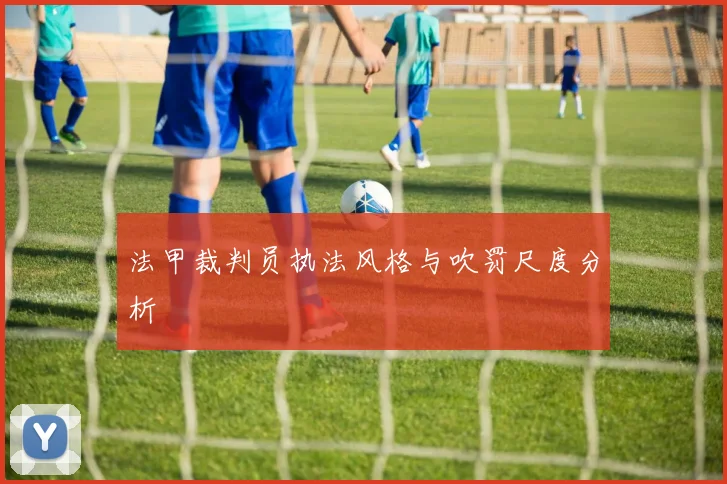 法甲裁判员执法风格与吹罚尺度分析