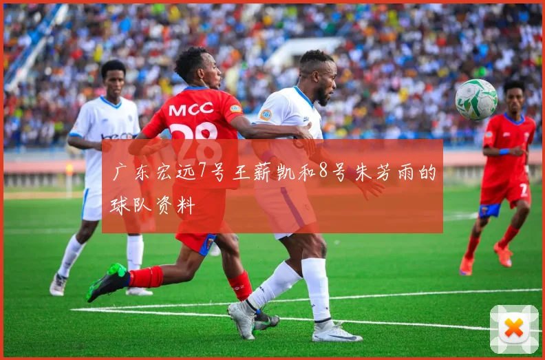 广东宏远7号王薪凯和8号朱芳雨的球队资料