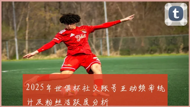 2025年世俱杯社交账号互动频率统计及粉丝活跃度分析