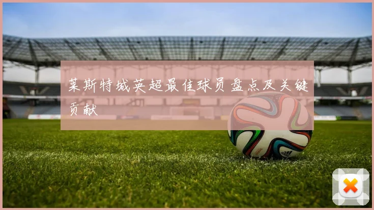 莱斯特城英超最佳球员盘点及关键贡献