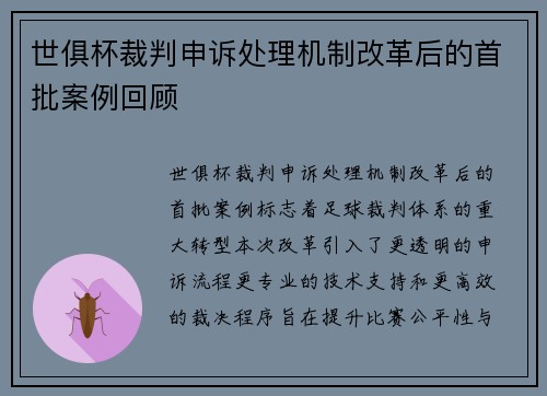 世俱杯裁判申诉处理机制改革后的首批案例回顾